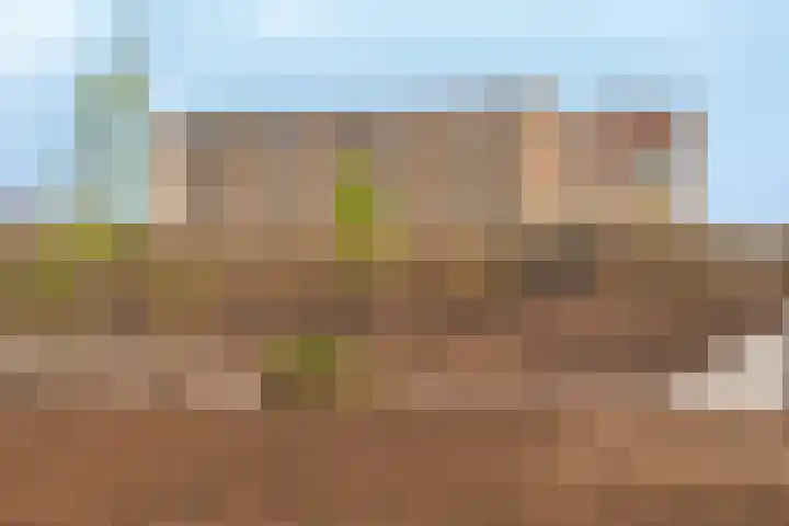 Verlengde Meeuwerderweg 15 Groningen thumbnail 12