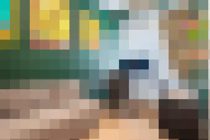 Verlengde Meeuwerderweg 15 Groningen thumbnail 19