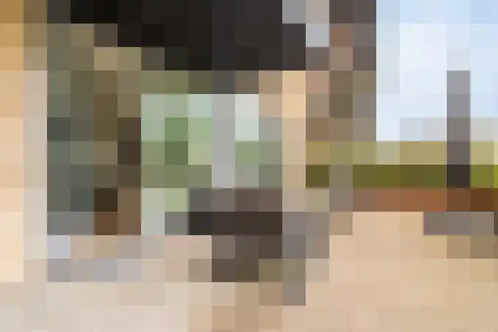 Verlengde Meeuwerderweg 15 Groningen thumbnail 30