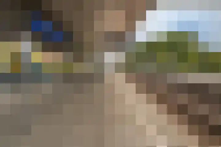 Verlengde Meeuwerderweg 15 Groningen thumbnail 44