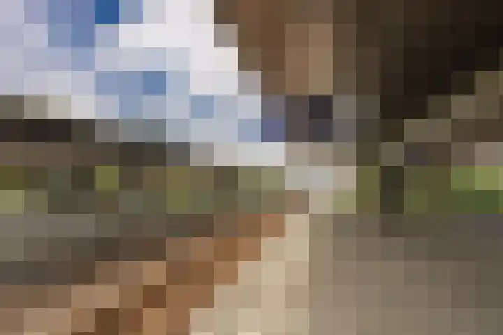 Verlengde Meeuwerderweg 15 Groningen thumbnail 45