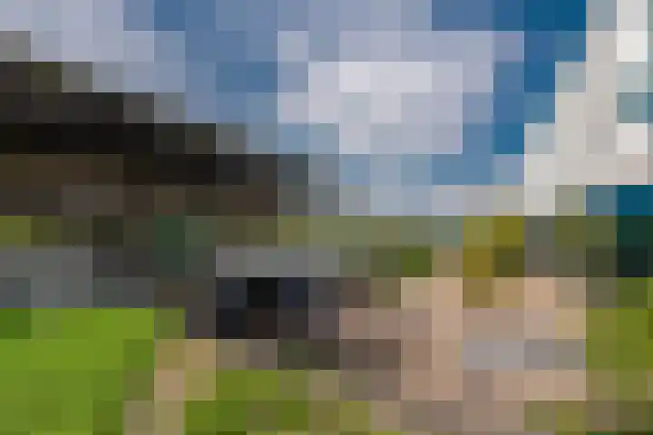 Verlengde Meeuwerderweg 15 Groningen thumbnail 46