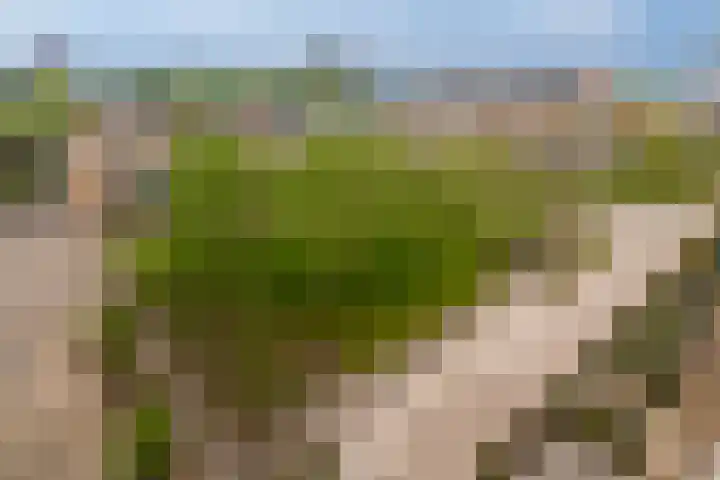 Verlengde Meeuwerderweg 15 Groningen thumbnail 9