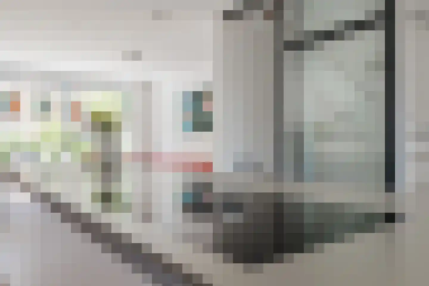 Verlengde Meeuwerderweg 181 Groningen thumbnail 13