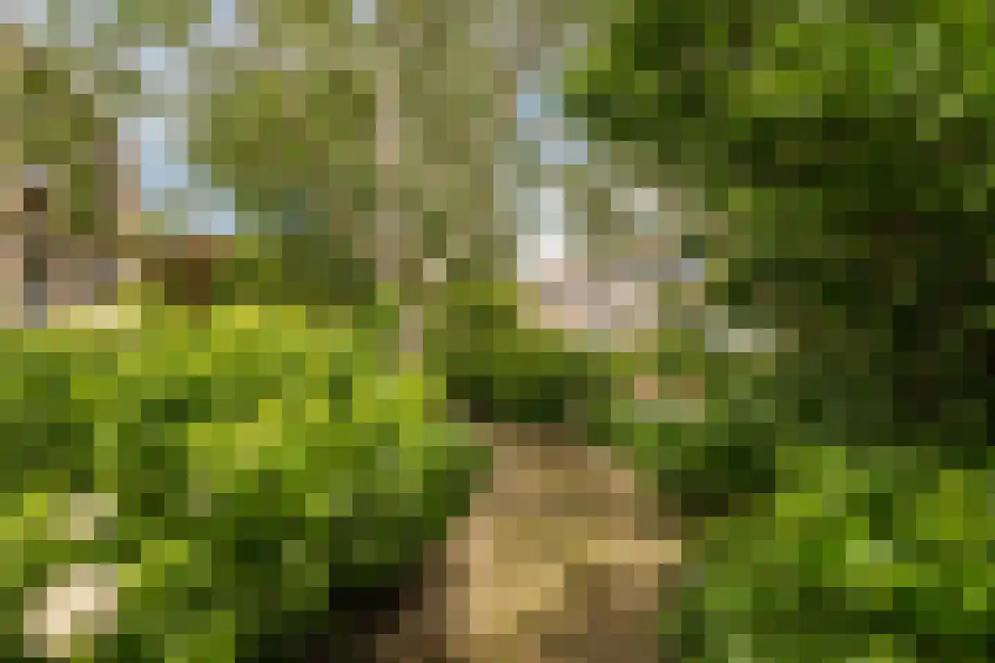 Verlengde Meeuwerderweg 181 Groningen thumbnail 25