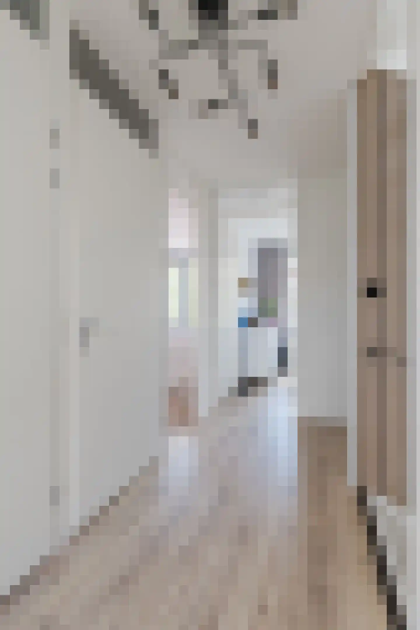 Verlengde Meeuwerderweg 181 Groningen thumbnail 39