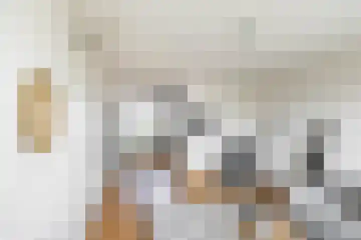 Verlengde Meeuwerderweg 207 Groningen thumbnail 22