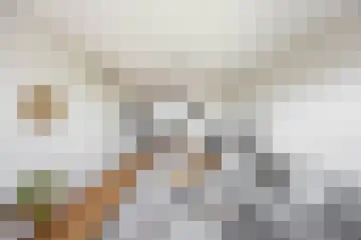 Verlengde Meeuwerderweg 207 Groningen thumbnail 23