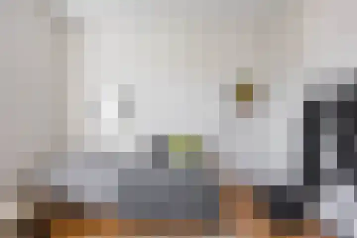 Verlengde Meeuwerderweg 207 Groningen thumbnail 26