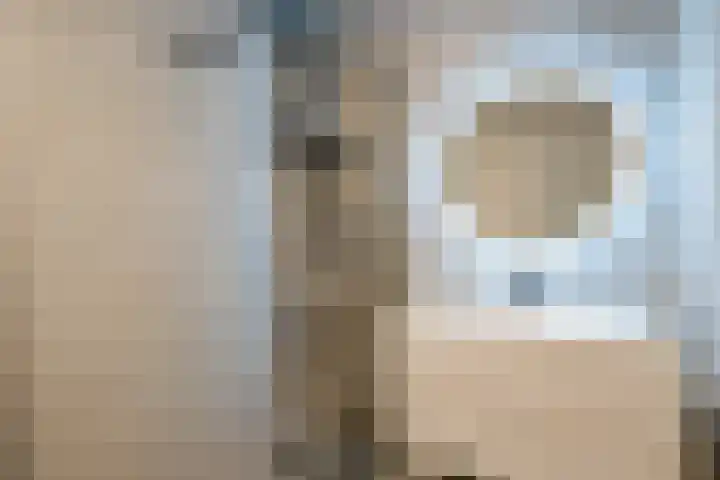 Verlengde Meeuwerderweg 25 Groningen thumbnail 39