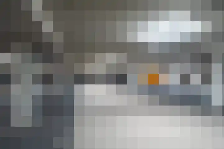 Verlengde Meeuwerderweg 25 Groningen thumbnail 49