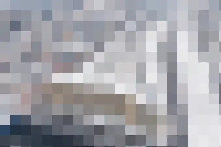 Verlengde Meeuwerderweg 25 Groningen thumbnail 51