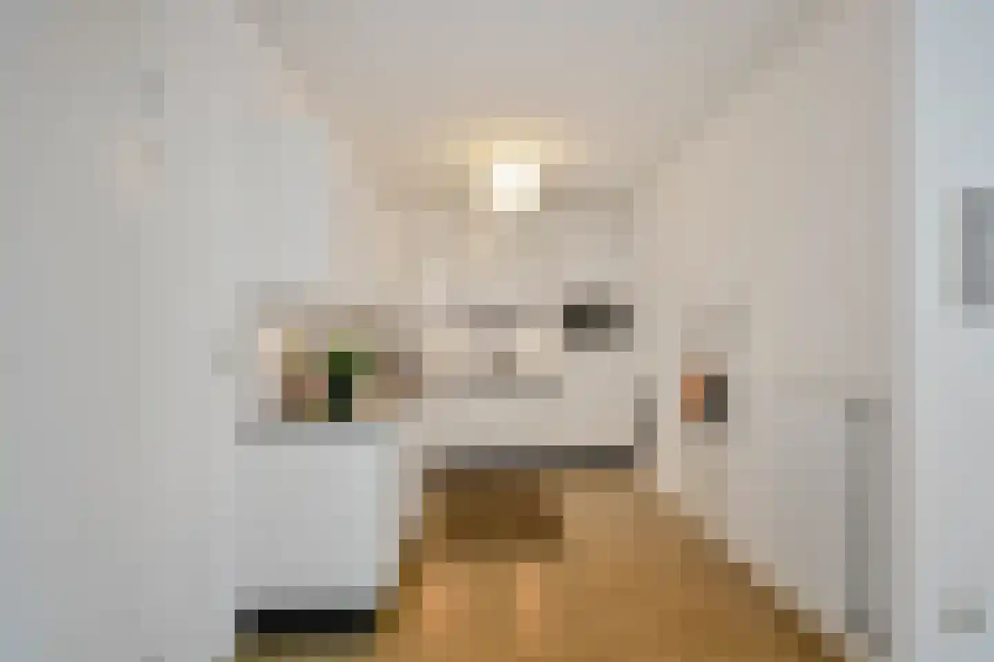 Verlengde Meeuwerderweg 31 Groningen thumbnail 4