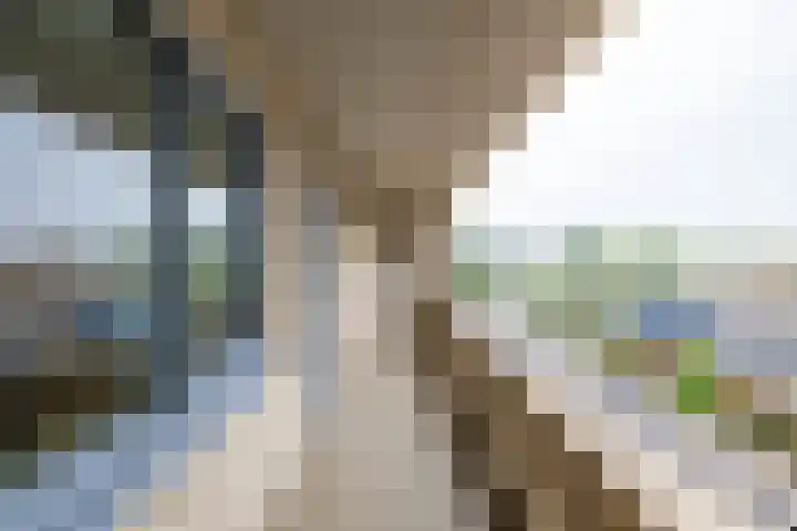 Verlengde Meeuwerderweg 55 Groningen thumbnail 11
