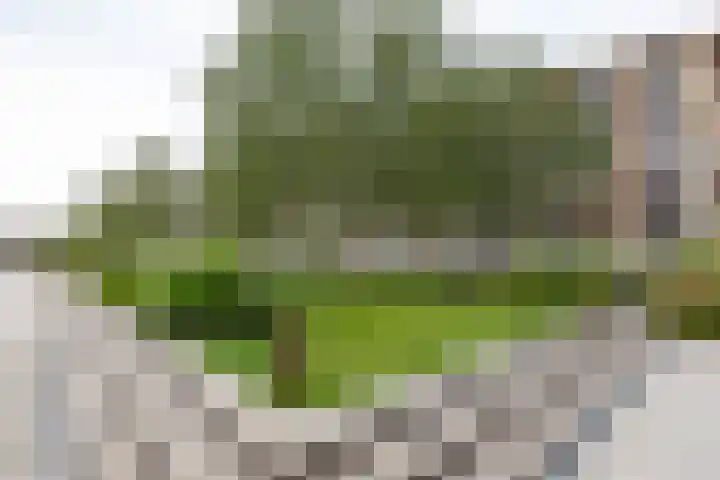Verlengde Meeuwerderweg 55 Groningen thumbnail 5