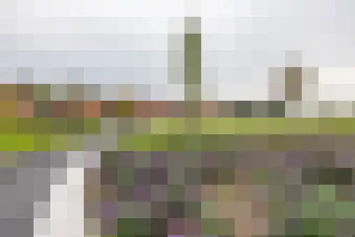 Verlengde Meeuwerderweg 55 Groningen thumbnail 51