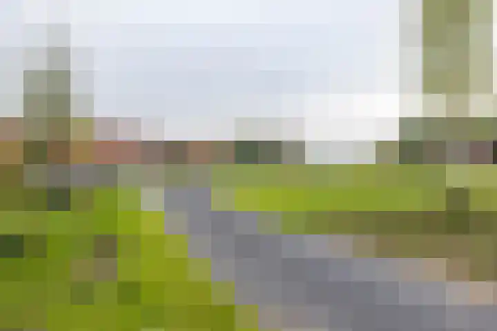 Verlengde Meeuwerderweg 55 Groningen thumbnail 52
