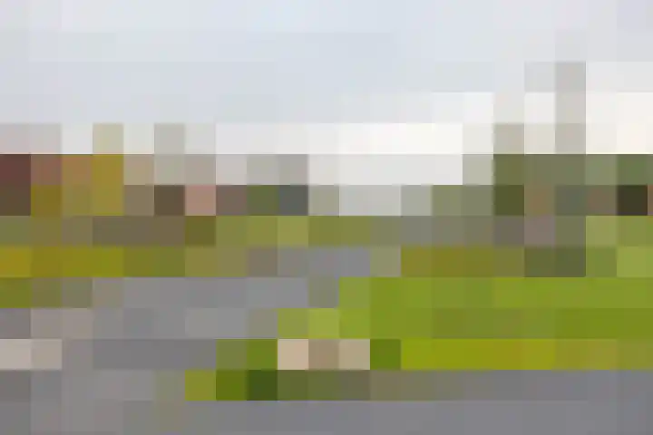 Verlengde Meeuwerderweg 55 Groningen thumbnail 53
