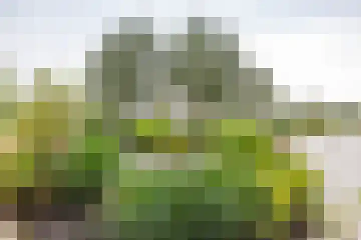 Verlengde Meeuwerderweg 55 Groningen thumbnail 6