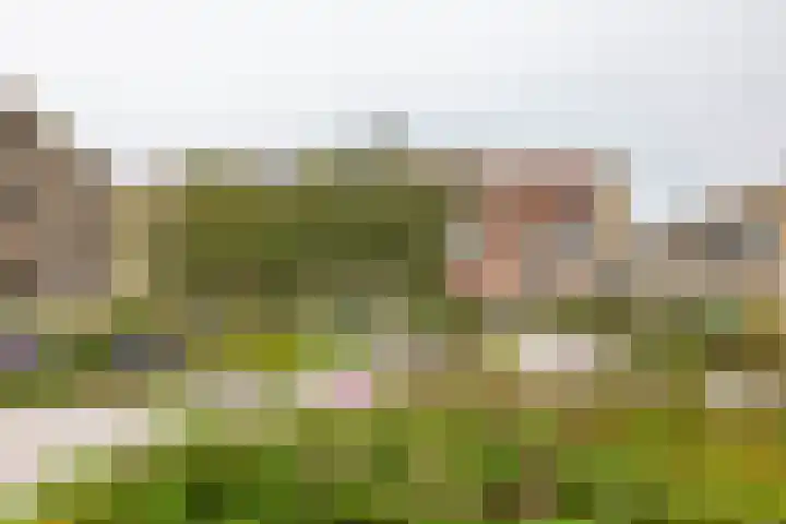 Verlengde Meeuwerderweg 55 Groningen thumbnail 8