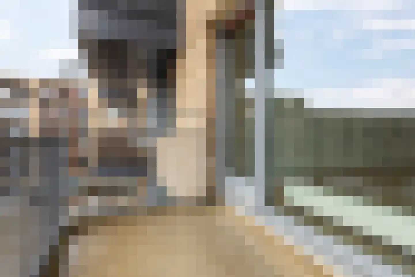 Verlengde Meeuwerderweg 65 Groningen thumbnail 34