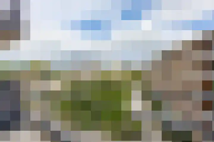 Verlengde Meeuwerderweg 71 Groningen thumbnail 16