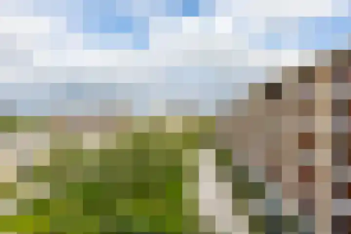 Verlengde Meeuwerderweg 71 Groningen thumbnail 17