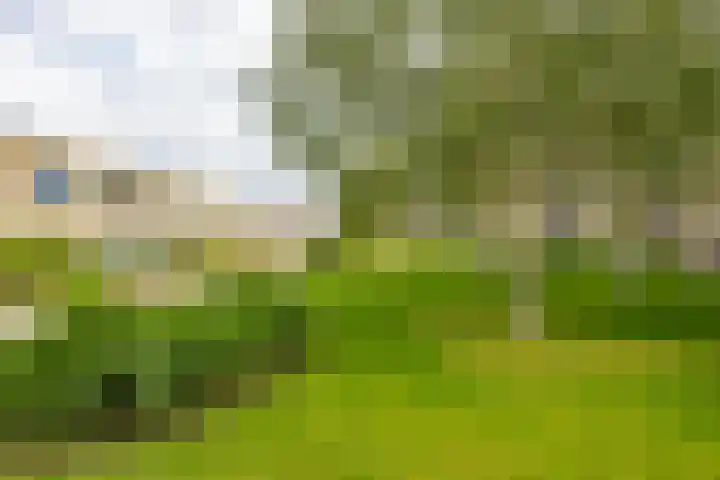 Verlengde Meeuwerderweg 71 Groningen thumbnail 18