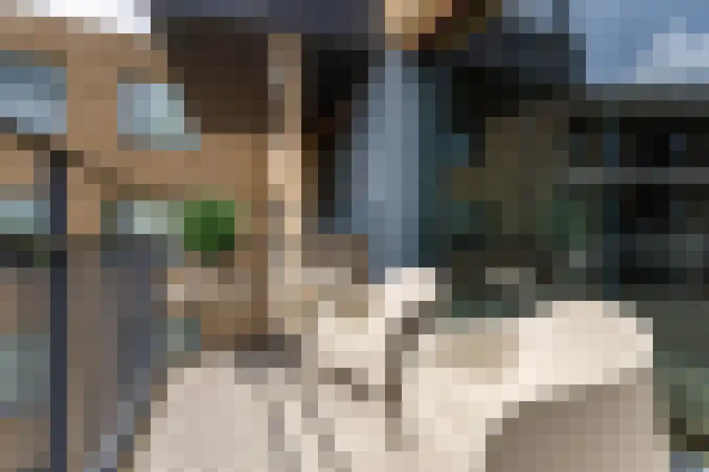 Verlengde Meeuwerderweg 71 Groningen thumbnail 35