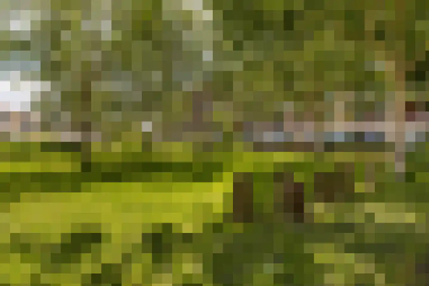 Verlengde Meeuwerderweg 71 Groningen thumbnail 38