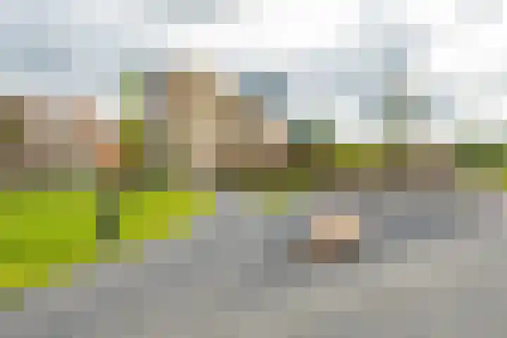 Verlengde Meeuwerderweg 71 Groningen thumbnail 41