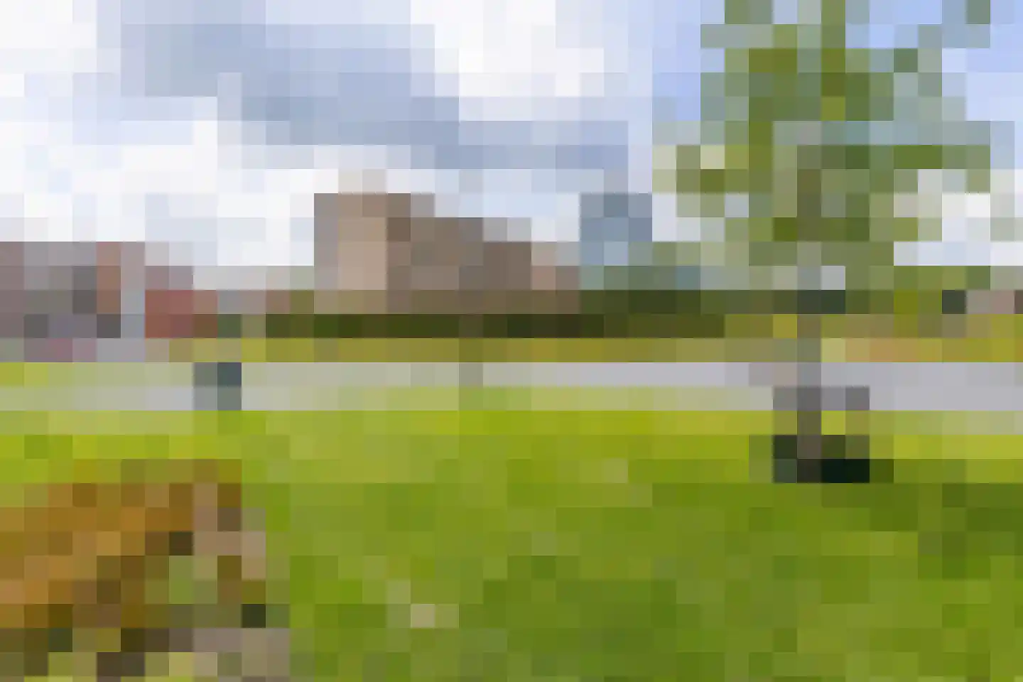 Verlengde Meeuwerderweg 71 Groningen thumbnail 7