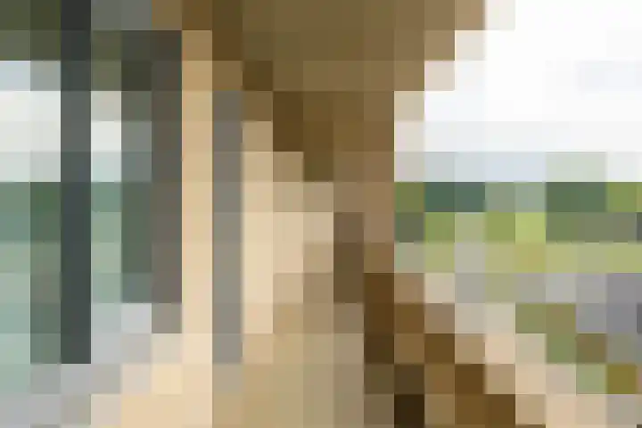 Verlengde Meeuwerderweg 71 Groningen thumbnail 7