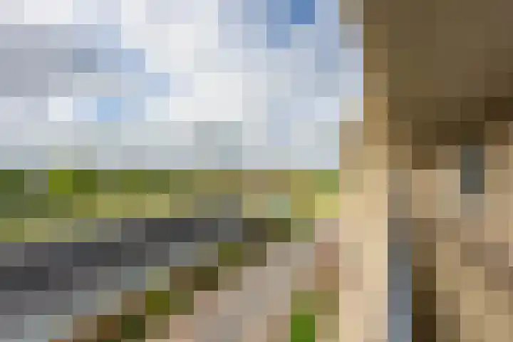 Verlengde Meeuwerderweg 71 Groningen thumbnail 8