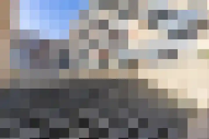 Verlengde Meeuwerderweg 99 Groningen thumbnail 36