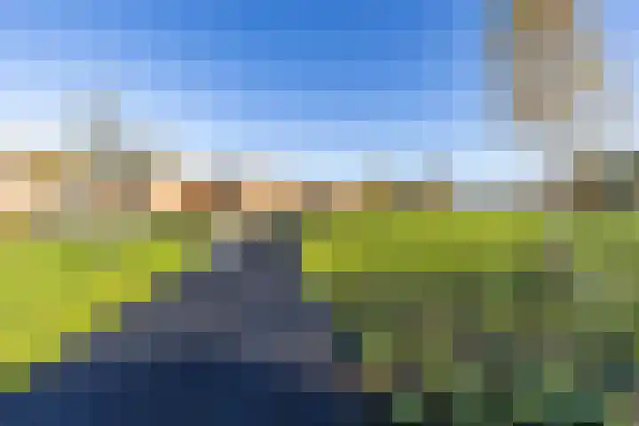 Verlengde Meeuwerderweg 99 Groningen thumbnail 43