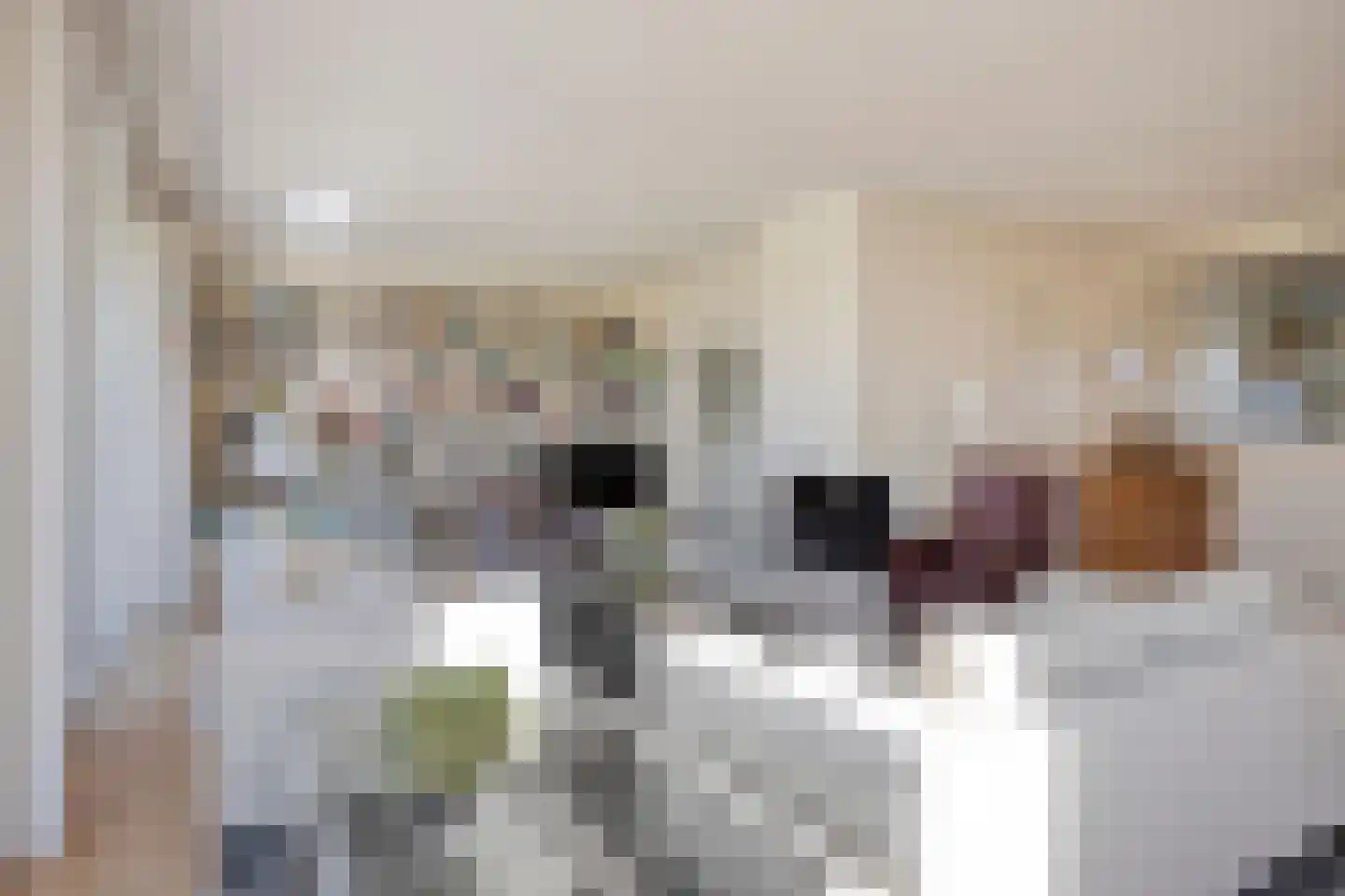Verlengde Meidoornstraat 30 Wezep thumbnail 14