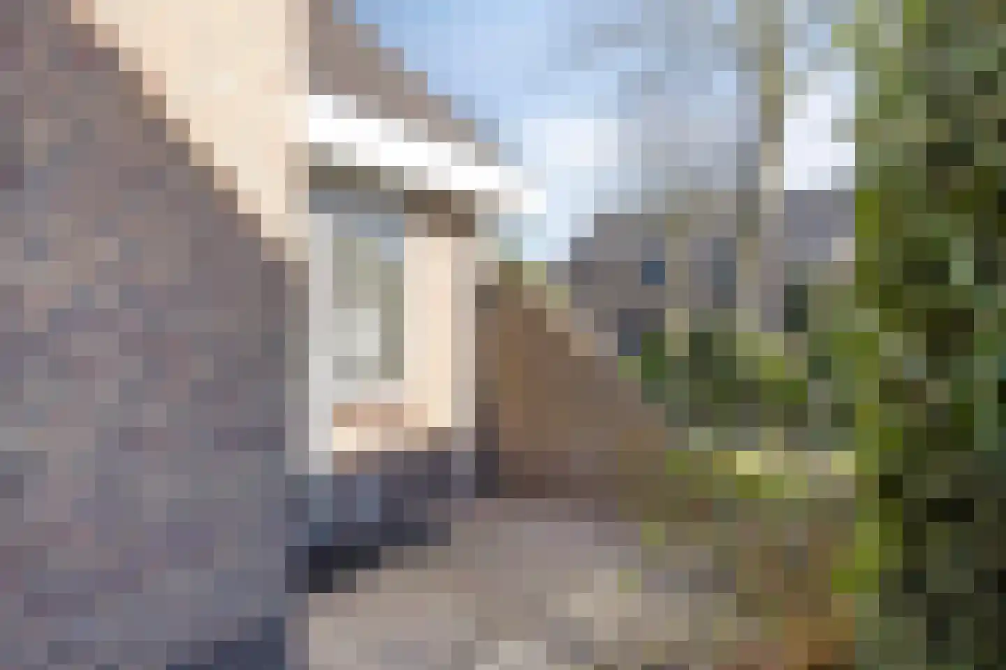 Verlengde Meidoornstraat 30 Wezep thumbnail 28