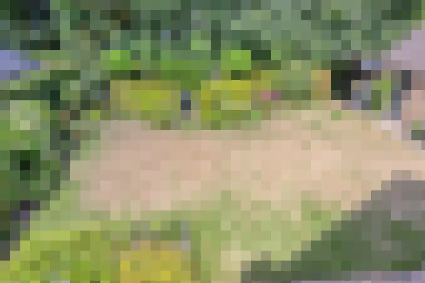 Verlengde Meidoornstraat 30 Wezep thumbnail 32