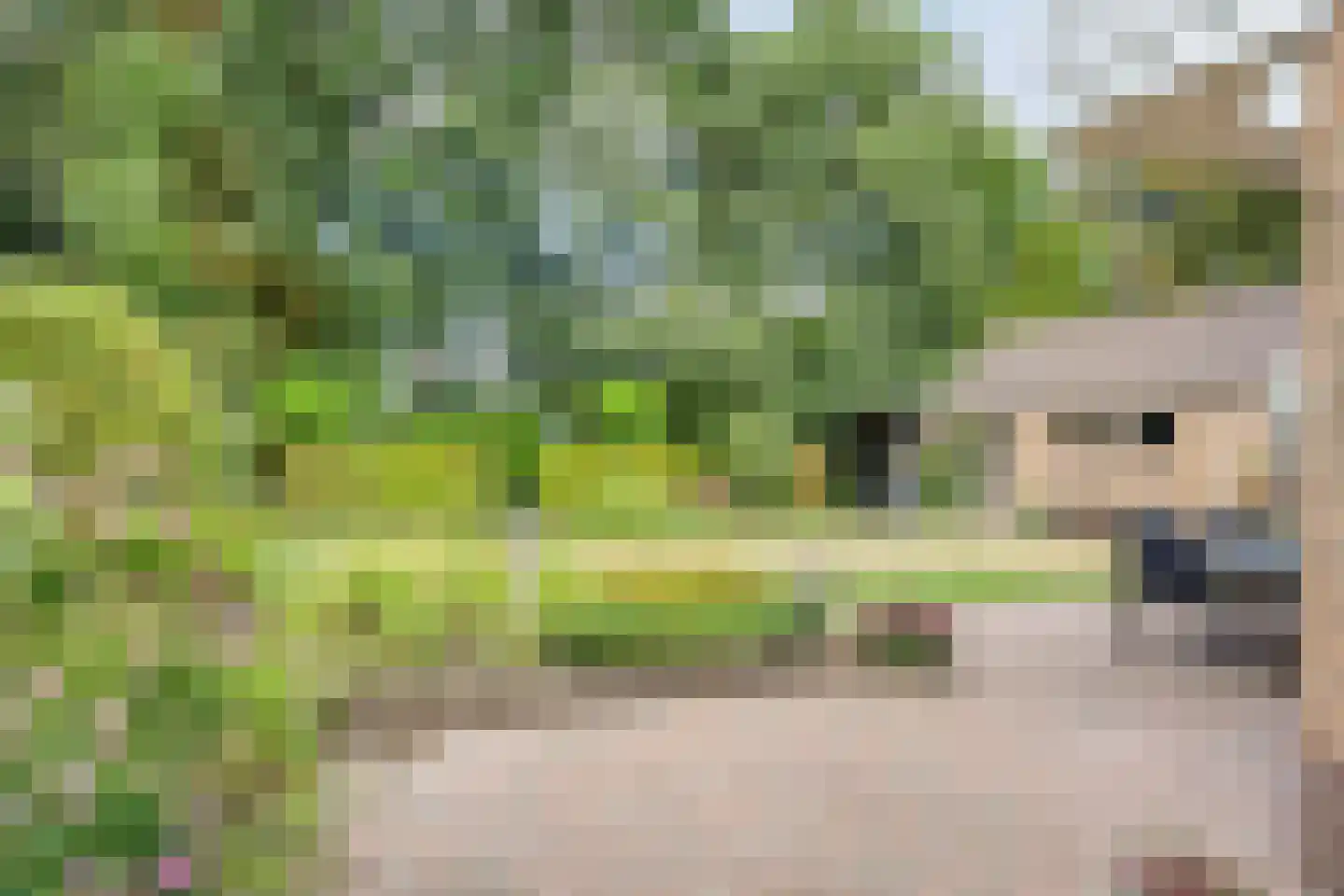 Verlengde Meidoornstraat 30 Wezep thumbnail 37