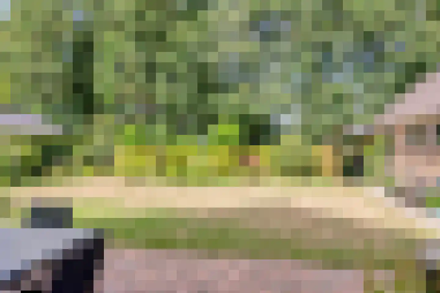 Verlengde Meidoornstraat 30 Wezep thumbnail 40