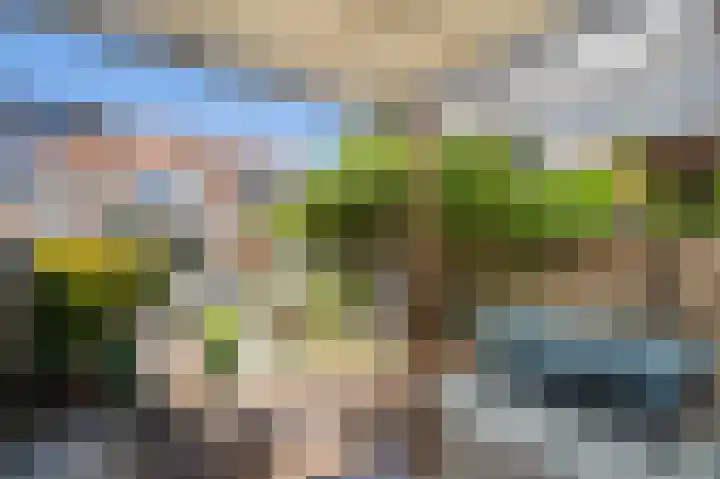Verlengde Middelweg 14 Asperen thumbnail 30