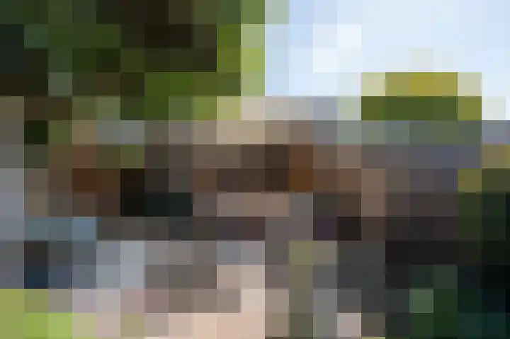 Verlengde Middelweg 14 Asperen thumbnail 31