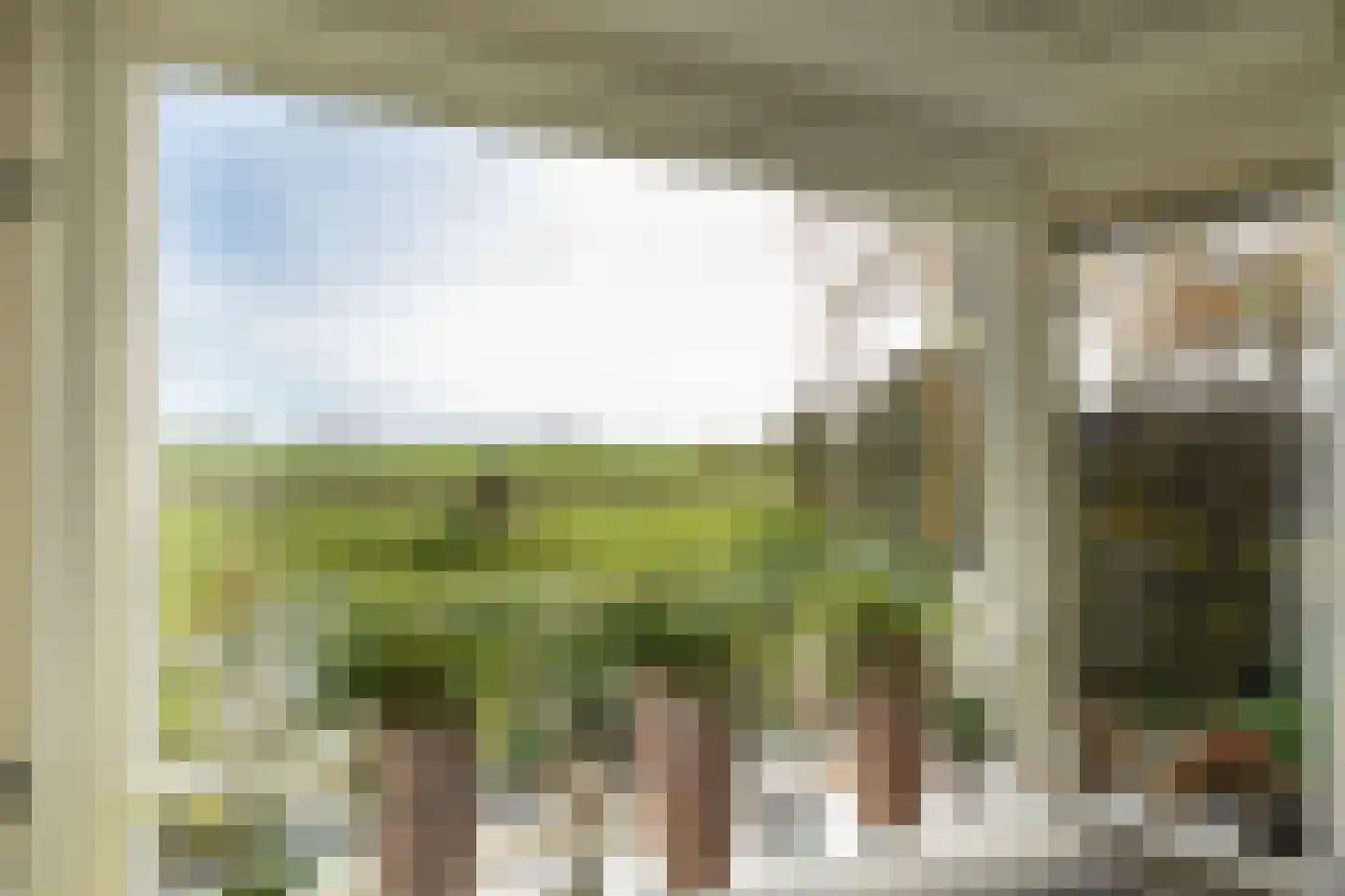Verlengde Middenraai 117 Nieuw-Balinge thumbnail 17
