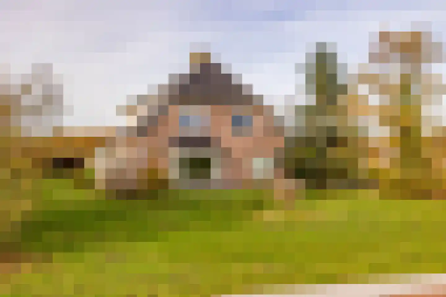 Verlengde Middenraai 117 Nieuw-Balinge thumbnail 6