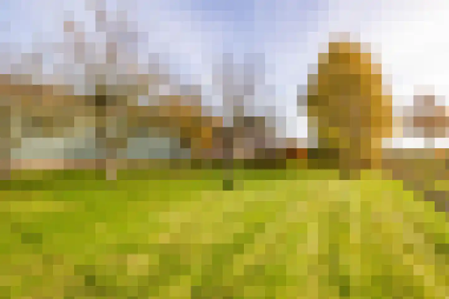 Verlengde Middenraai 117 Nieuw-Balinge thumbnail 67