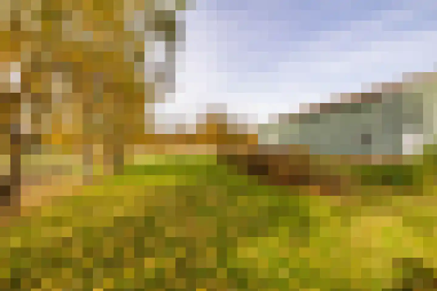 Verlengde Middenraai 117 Nieuw-Balinge thumbnail 69