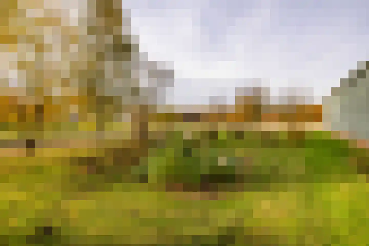 Verlengde Middenraai 117 Nieuw-Balinge thumbnail 70