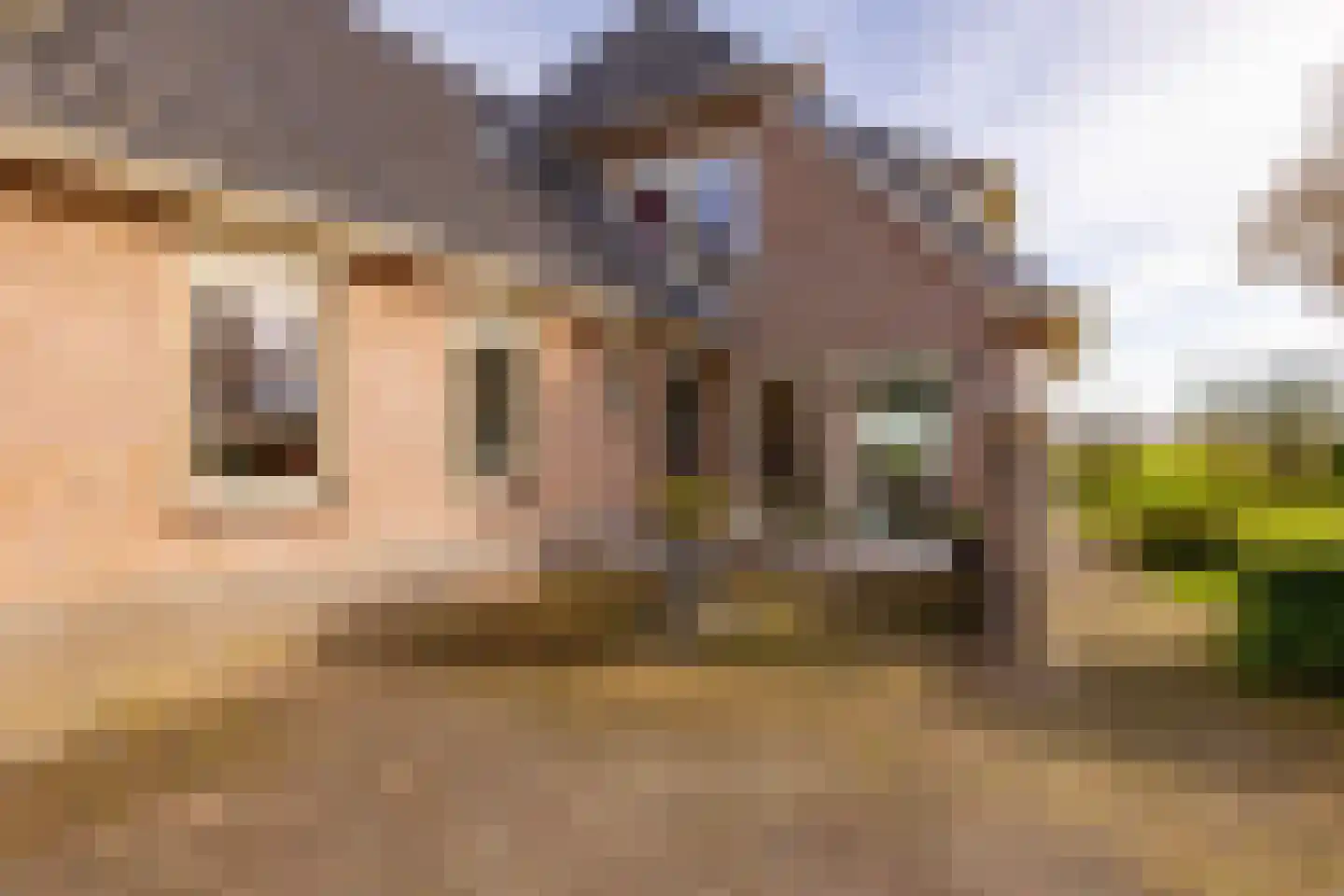 Verlengde Middenraai 117 Nieuw-Balinge thumbnail 72