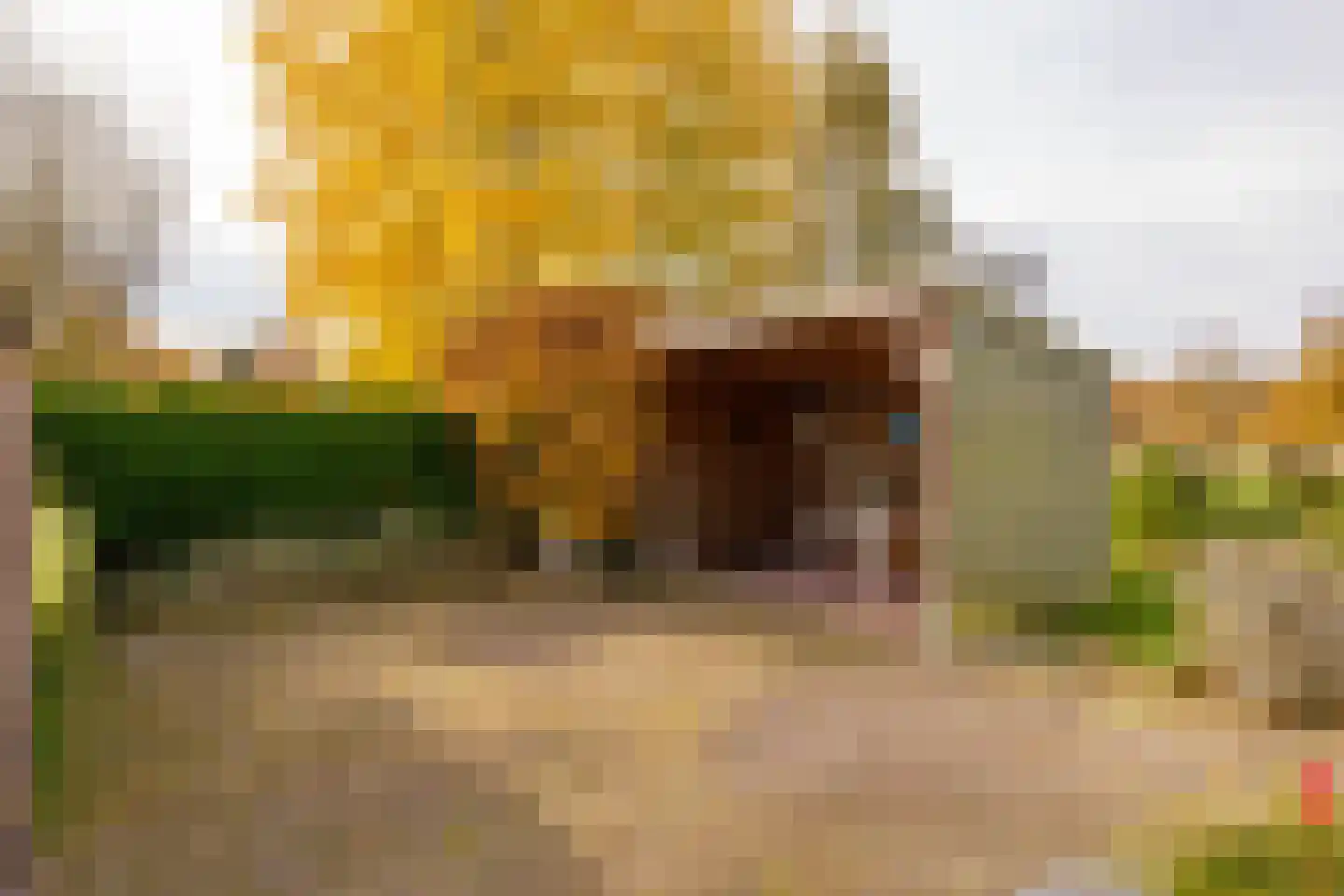 Verlengde Middenraai 117 Nieuw-Balinge thumbnail 73